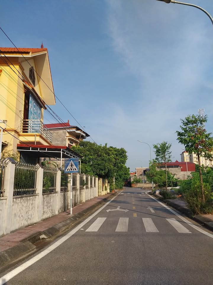 Đất thổ cư Tổ 4 Thị Trấn Quỳnh Côi 100m² giá 1.5 tỷ - Cơ hội vàng đầu tư!