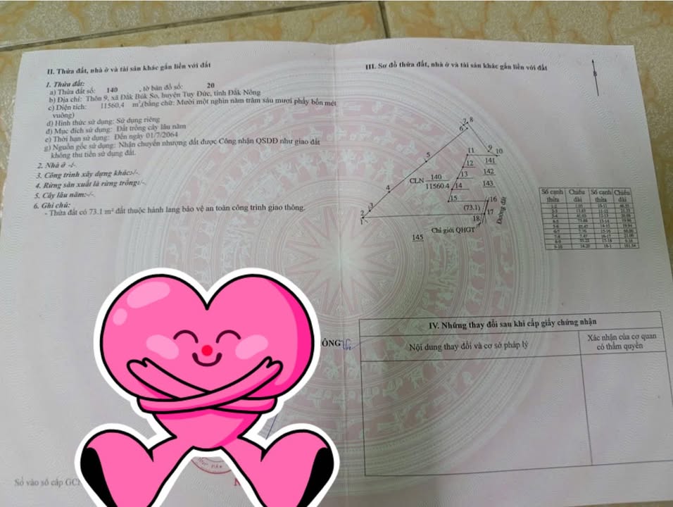 Đất nông nghiệp 1,2ha tại Tuy Đức - Giá 1,5 tỷ - Đầu tư sinh lời!