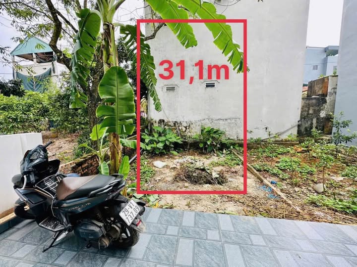 Đất nền 31m² Phượng Nghĩa, Phụng Châu - Cơ hội đầu tư hấp dẫn!