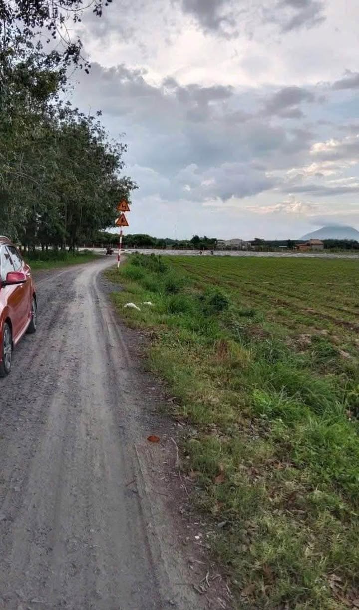 Đất nền Truông Mát Dương Minh Châu 1350m² giá đầu tư - Sổ đỏ chính chủ!