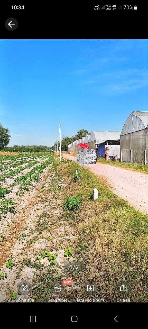 Đất nền Tân Phong, Tân Biên 320m² giá 290 triệu - Đầu tư sinh lời ngay!