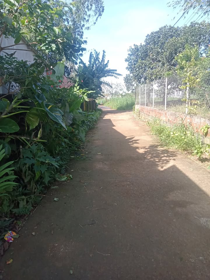 Đất nền An Phú Pleiku 100m² giá 350 triệu - Sẵn sàng đầu tư ngay!