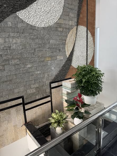 Nhà 5 tầng cho thuê tại đường Hoàng Văn Thụ Bắc Giang - Phù hợp cho kinh doanh đa ngành!