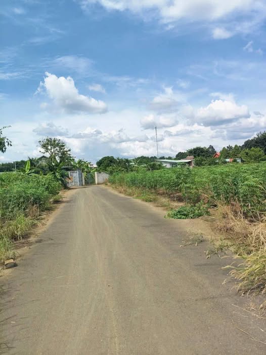 Đất nền phường Tiến Thành, Đồng Xoài 4300m² chỉ từ 400 triệu - Đầu tư sinh lời ngay!