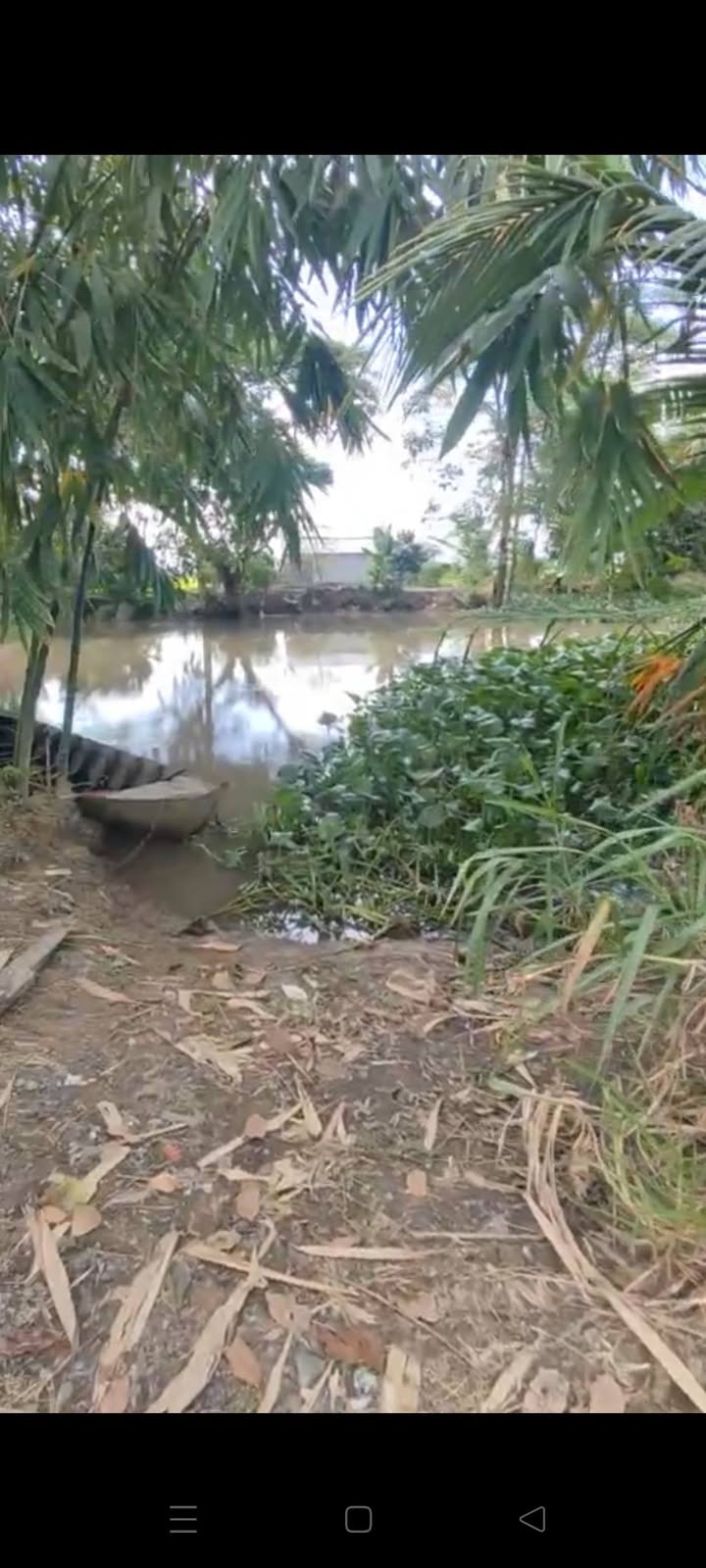 Đất ruộng 6 công lớn tại Phương Thịnh, Cao Lãnh - Giá chỉ 1.2 tỷ, đầu tư sinh lời!