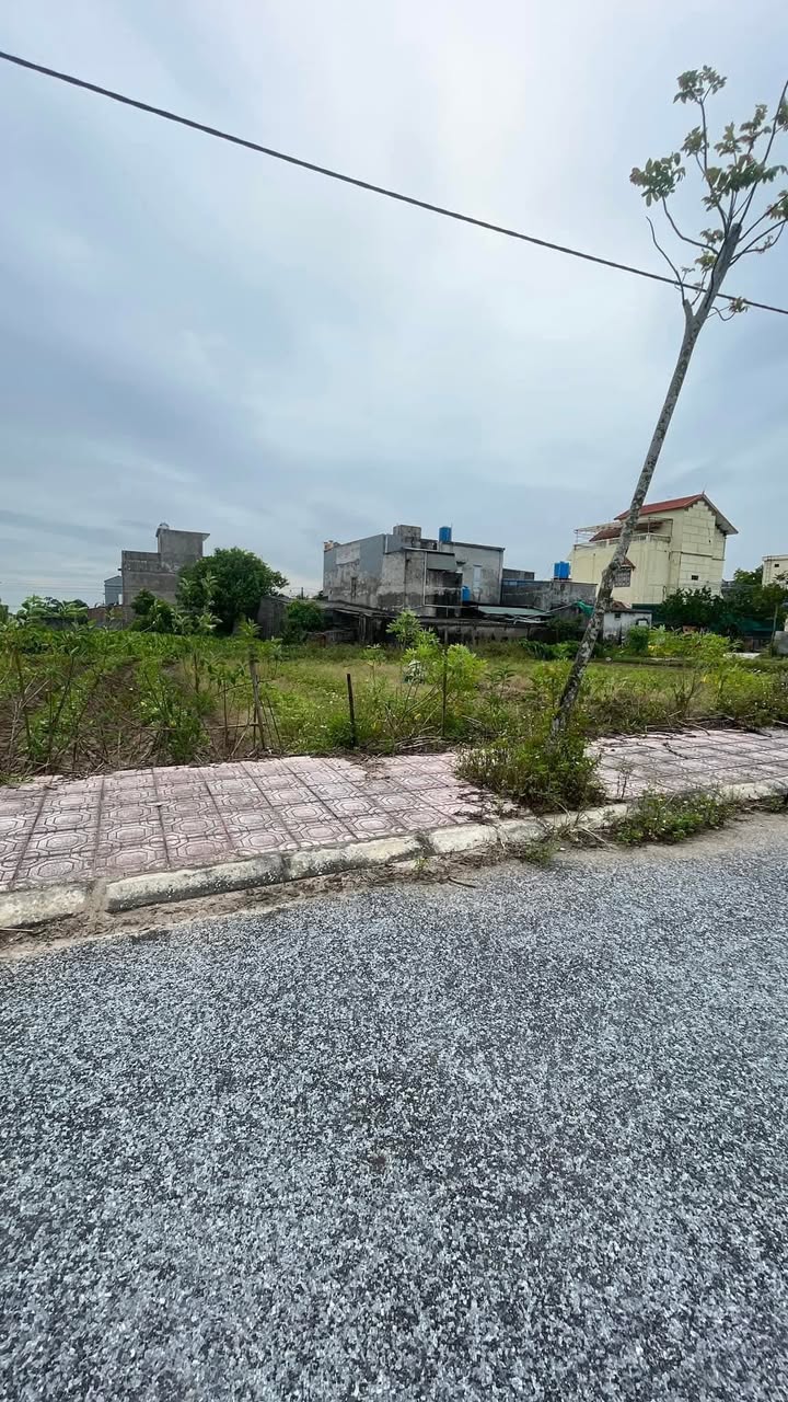 Đất tái định cư Vũ Lăng Tiền Hải 121m² giá 800 triệu - Cơ hội đầu tư hấp dẫn!