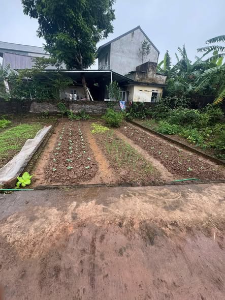 Đất nền Chương Dương, Thường Tín 44.4m² giá 2 tỷ - Cơ hội đầu tư sinh lời!