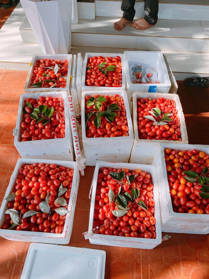 Đất nền Quốc lộ 29 Buôn Hồ 480m² giá 8.1 tỷ - Đầu tư sinh lời ngay!