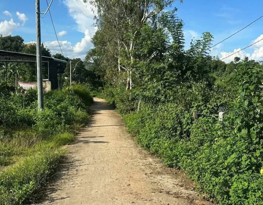 Đất nền xã Đăk Rơ Va, TP Kon Tum 817m² chỉ 500 triệu - Tiềm năng đầu tư lớn!