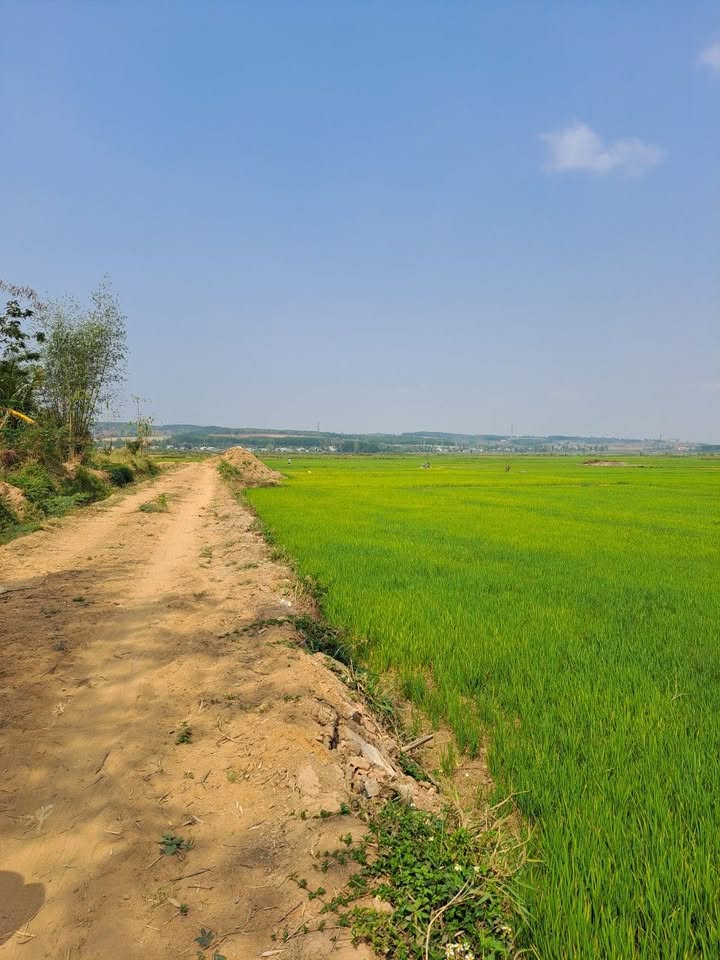 Đất liền kề thôn 5, xã Đoàn Kết, 336m² giá thỏa thuận - VIEW đẹp, đường rộng!