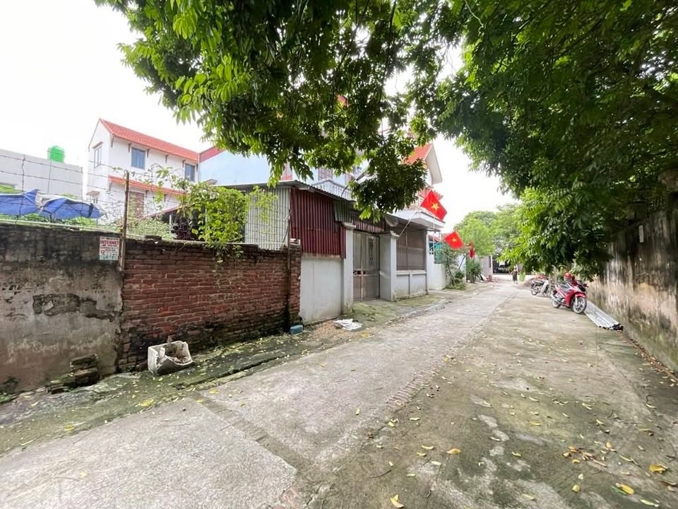 Đất thổ cư 150m² tại thôn Hoàng Nha, xã Minh Hải - Giá thỏa thuận, vị trí đẹp gần chợ!