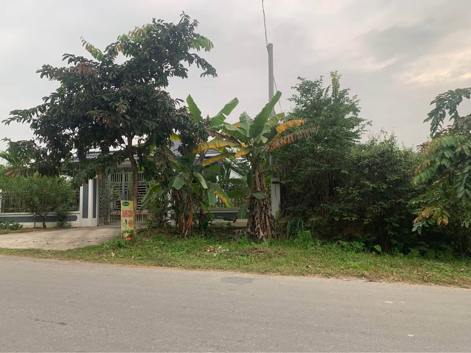 Đất mặt đường chính Thái Long, 216m² giá 1.55 tỷ - Vị trí kinh doanh thuận lợi!