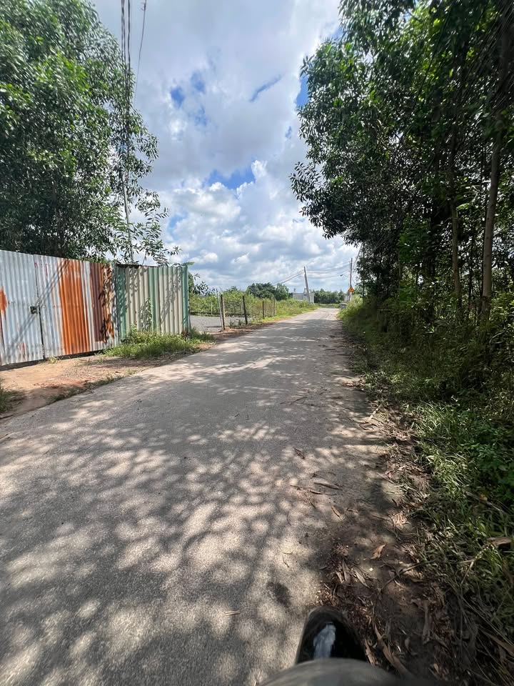 Đất nền Giang Điền 500m² giá 1.35 tỷ - Sổ riêng, xây biệt thự lý tưởng!