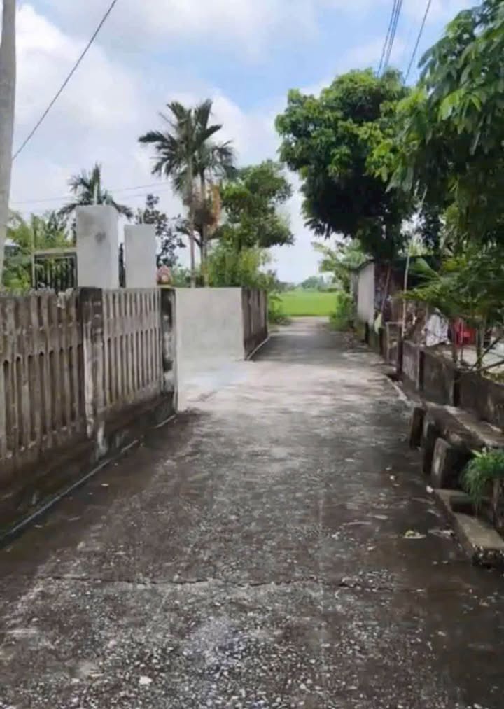 Đất nền Thuần Thành, Thái Thụy 77m² giá chỉ 400 triệu - Đầu tư sinh lời ngay!