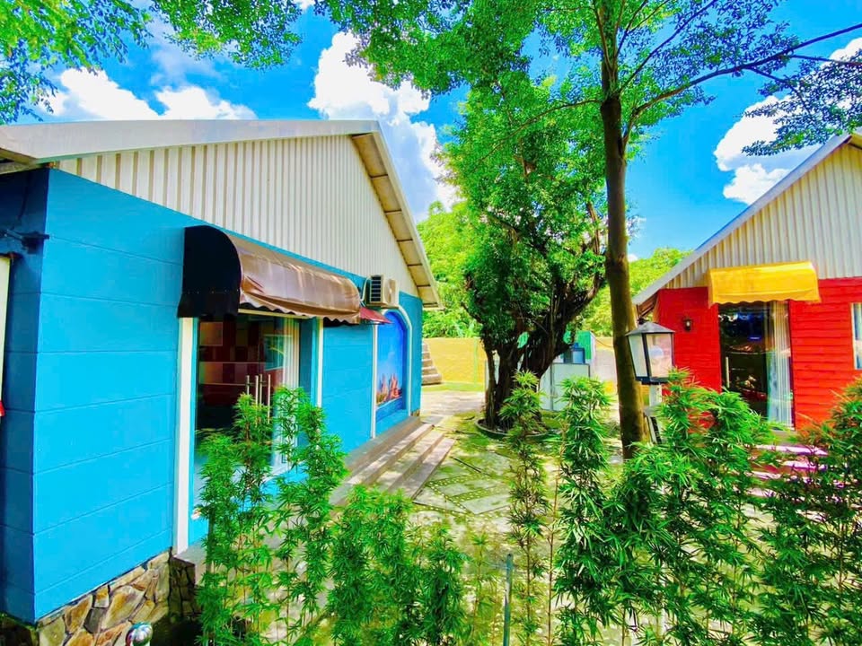 Nhà cho thuê đường Yersin, Thủ Dầu Một - Giá chỉ 5 triệu/tháng!