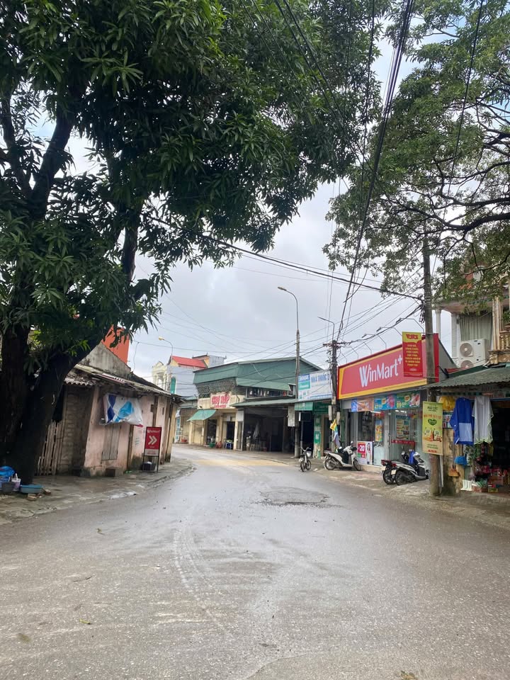 Đất nền phố Quang, Đông Quang 68m² giá 1.15 tỷ - Cơ hội đầu tư hấp dẫn!