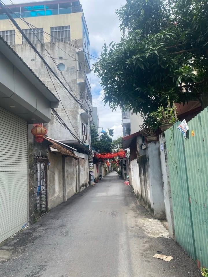 Đất chính chủ Đông Mỹ 70m² giá 8 tỷ - Ô tô đỗ cửa, gần chợ và trường học!