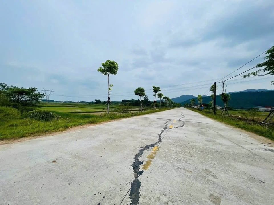 FrontHouse mặt tiền đường Nguyễn Xí, 278.2m² giá 2 tỷ - Đầu tư sinh lời ngay!