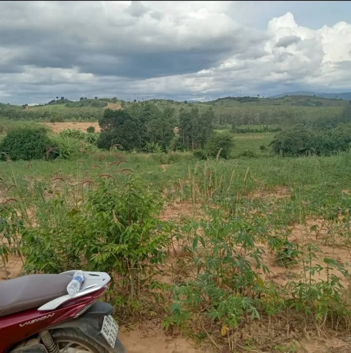 Đất nông nghiệp thôn 9, Đăk Tờ Re, 6400m² chỉ 200 triệu - Cơ hội đầu tư hấp dẫn!