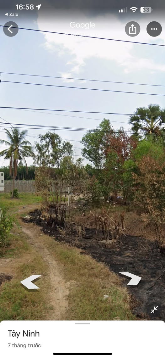 Đất nông nghiệp 1.5 mẫu tại xã Hòa Thạnh, Châu Thành - Giá chỉ 1.5 tỷ VND!