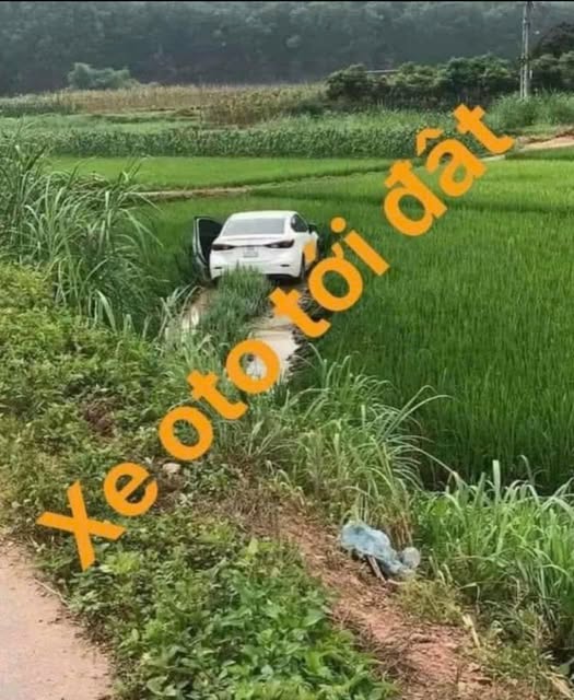 Đất nền Hòa Thạnh Châu Thành 15,000m² giá 1.5 tỷ - Điện nước đầy đủ, ô tô vào tận đất!