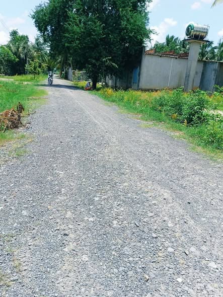 Đất nền Ấp Bình Lợi, Hảo Đước, 550m² giá chỉ 500 triệu - Cơ hội đầu tư tốt!