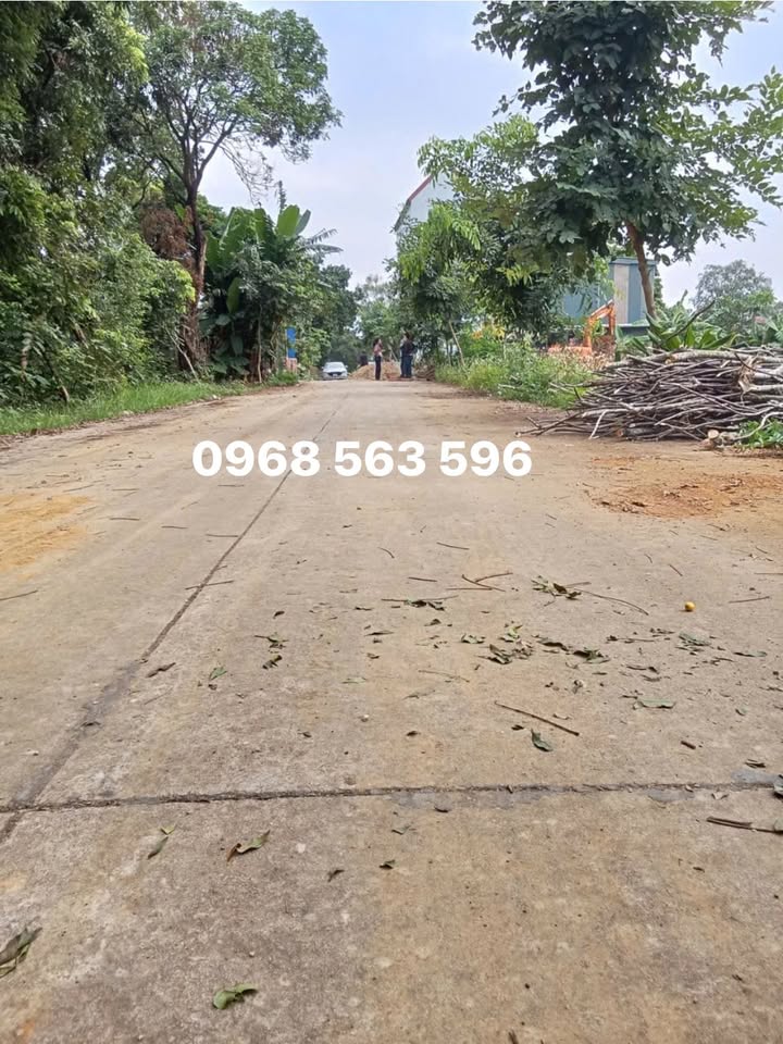 Đất nền phường Nam Sơn, Tam Điệp 135m² giá 1.2 tỷ - Đầu tư sinh lời tuyệt vời!