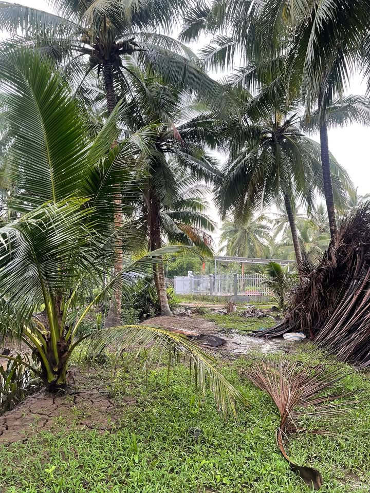 Đất nền Phước Hiệp Mỏ Cày Nam 4000m² giá 600 triệu - Cơ hội đầu tư tuyệt vời!