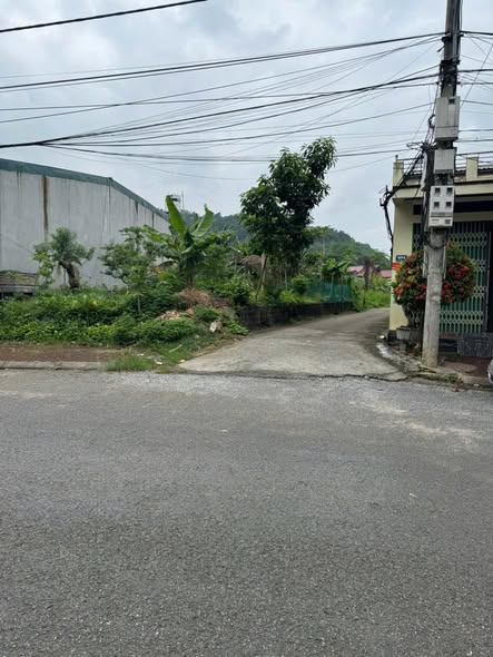 Đất thổ cư 100m² tại ngõ Trần Thánh Tông, Lào Cai - Chính chủ, giá thỏa thuận!