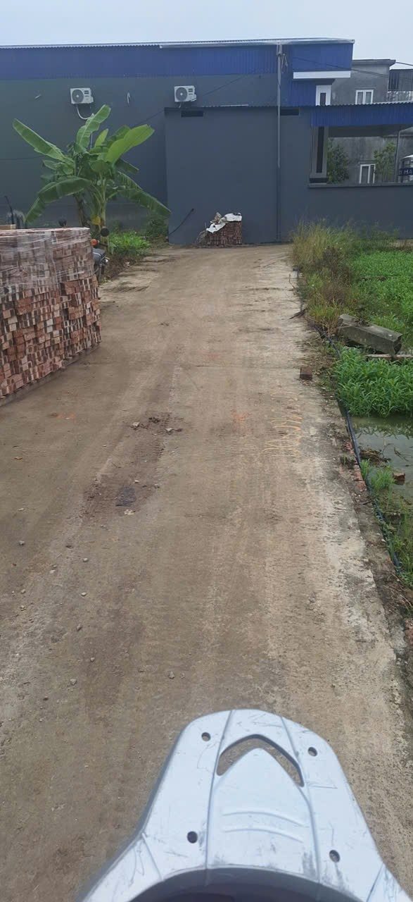 Đất nền An Phong Kiến Thuỵ 60m² chỉ 840 triệu - Cơ hội đầu tư tuyệt vời!