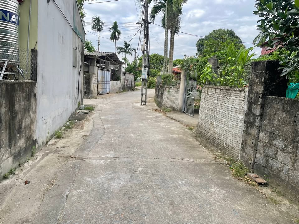 Đất nền Tràng An Bình Lục 120m² mặt tiền 10m - Giá thỏa thuận hấp dẫn!