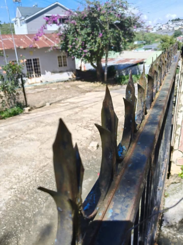 Nhà Đất Tự Phước, Đà Lạt 345m² giá 8 tỷ - Cơ hội đầu tư hấp dẫn!