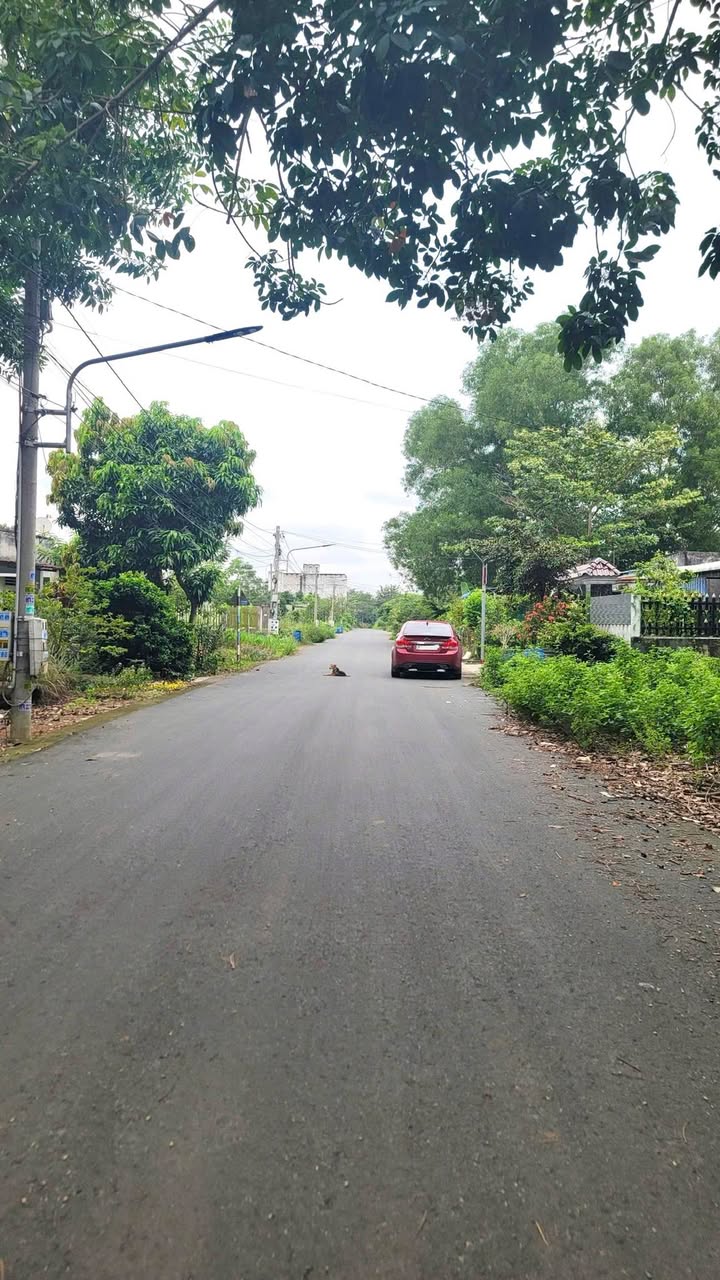 Đất thổ cư 100m² tại Minh Thành, Chơn Thành - Giá tốt, cơ hội đầu tư sinh lời!