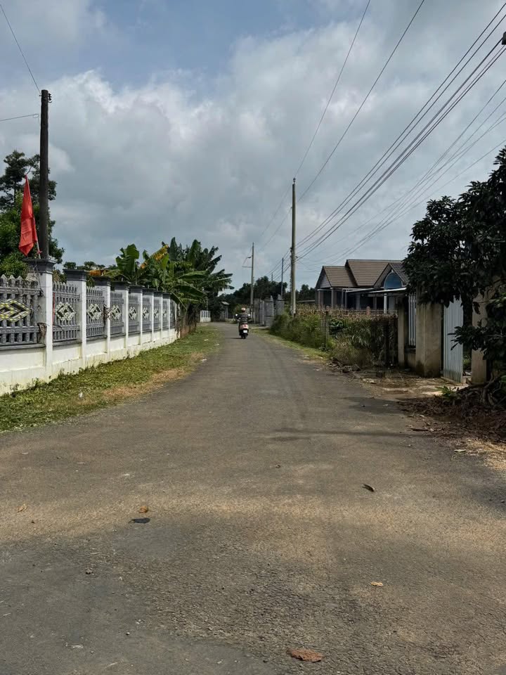 Đất thổ cư Lộc Đức, Bảo Lâm: 145.8m² chỉ 650 triệu - Cơ hội đầu tư không thể bỏ lỡ!