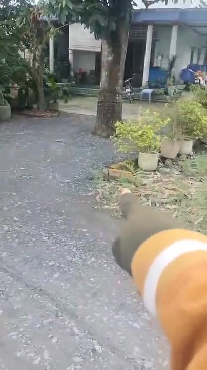 Đất thổ cư xã Mỹ Hạnh Bắc, 165m² giá 1.18 tỷ - Cơ hội đầu tư hấp dẫn!