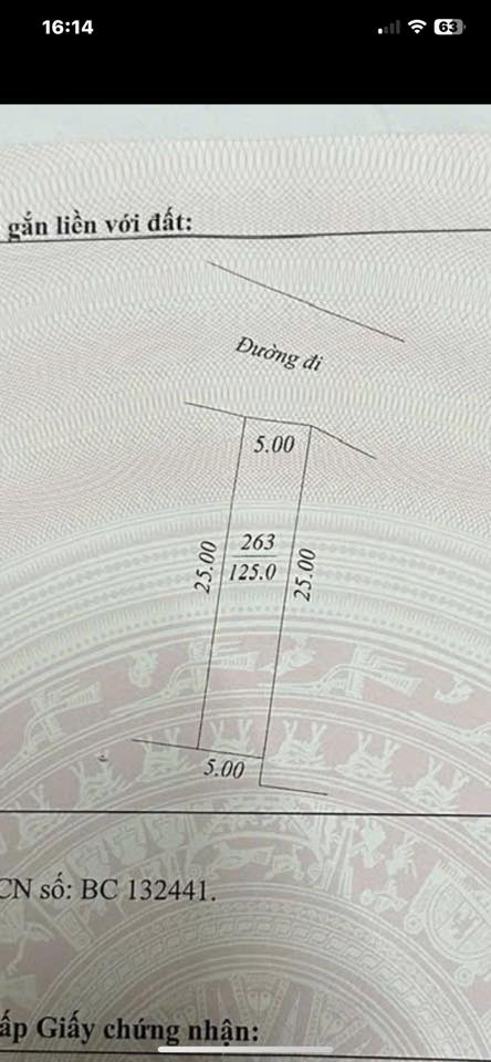 Đất nền thổ cư Đinh Hương, Thị trấn Thắng, 125m² chỉ 1 tỷ - Sổ đỏ chính chủ!