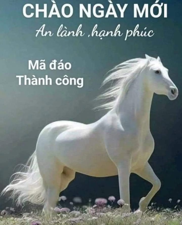 Nhà mặt tiền Xô Viết Nghệ Tĩnh, Vũng Tàu 100m² giá 15.68 tỷ - Kinh doanh sầm uất!