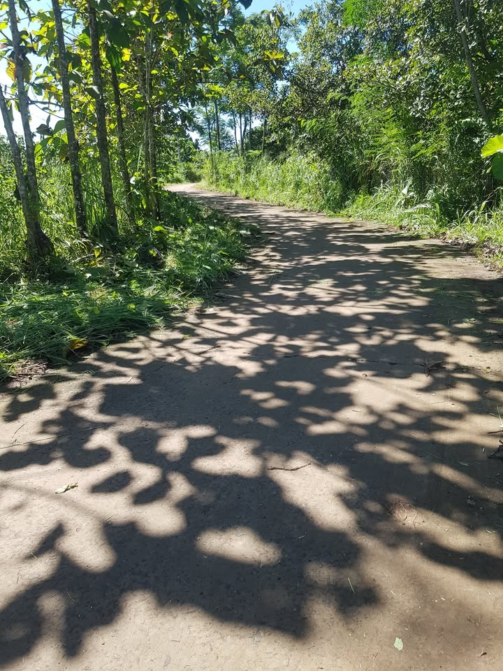 Đất Lộc Hiệp Lộc Ninh 500m² - Thích hợp làm nhà chăn nuôi, giá thỏa thuận!