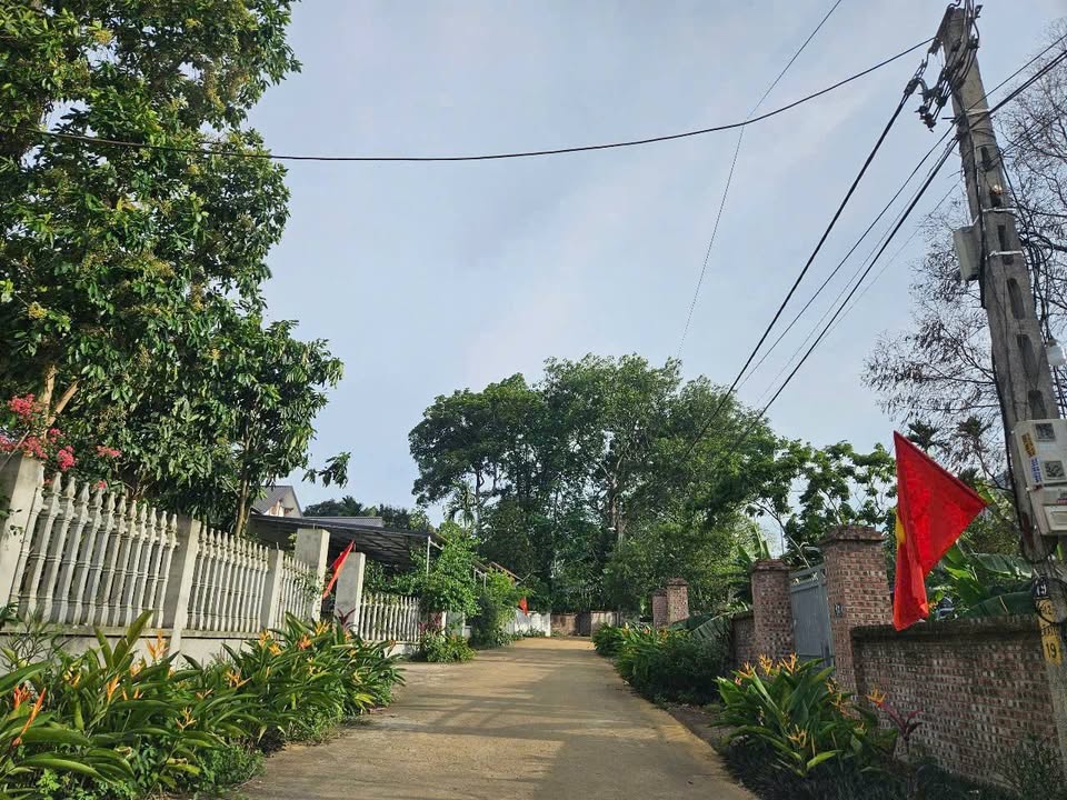 Đất mặt đường trục chính xã Vân Hòa 358m² giá 3.1 tỷ - Pháp lý rõ ràng, gần KDL Long Việt!