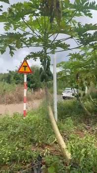 Đất 1000m² 2 mặt tiền nhựa Đá Bạc Châu Đức 1.4 tỷ - Cơ hội đầu tư hiếm có!