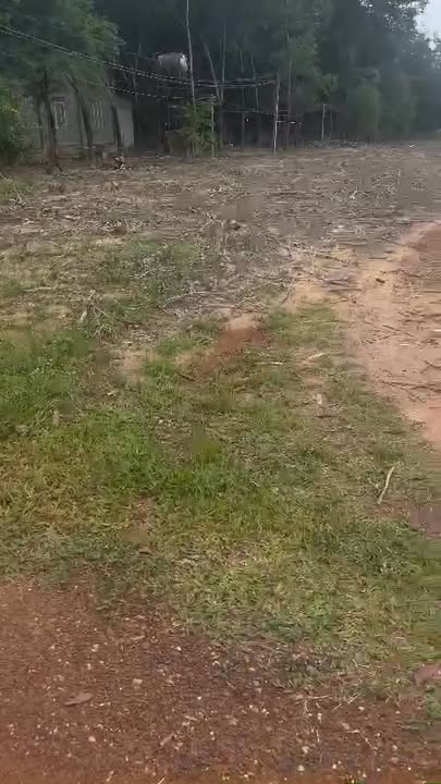 Đất nền Minh Hòa Dầu Tiếng 1542m² giá chỉ 700 triệu - Cơ hội đầu tư tuyệt vời!