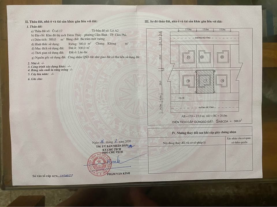 Nhà 2 tầng hướng Nam 300m² tại Cẩm Bình, giá 14 tỷ - Đầu tư sinh lời ngay!