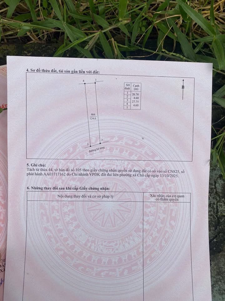 Đất thổ cư 124m² Phường Phượng Sơn, Bắc Ninh - Hướng Nam, Giá 1.7 tỷ, Chính Chủ Bán Gấp!