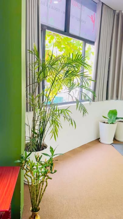 Phòng tập yoga 100m² tại Sơn Trà – Sang nhượng đầy đủ dụng cụ, vào dạy ngay!