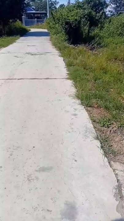 Đất nền Thôn Gia Mỹ, Ninh An 442m² giá 700 triệu - Cơ hội đầu tư hấp dẫn!