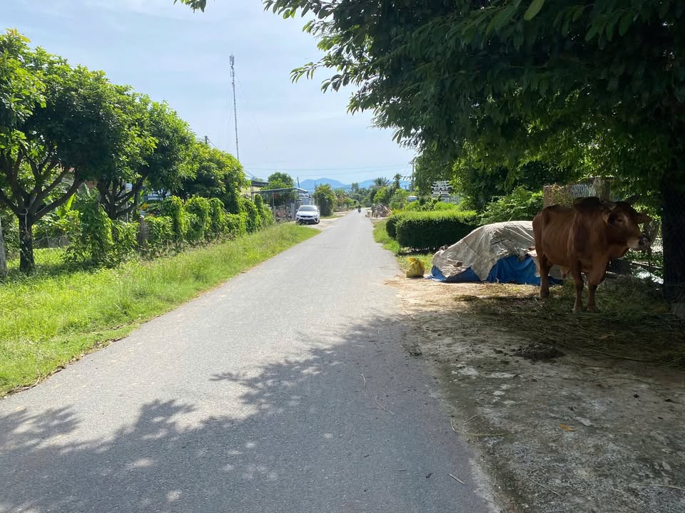 Đất nền mặt tiền Tỉnh lộ 5, Gò Sắn, 440m² giá chỉ 650 triệu - Cơ hội đầu tư tuyệt vời!