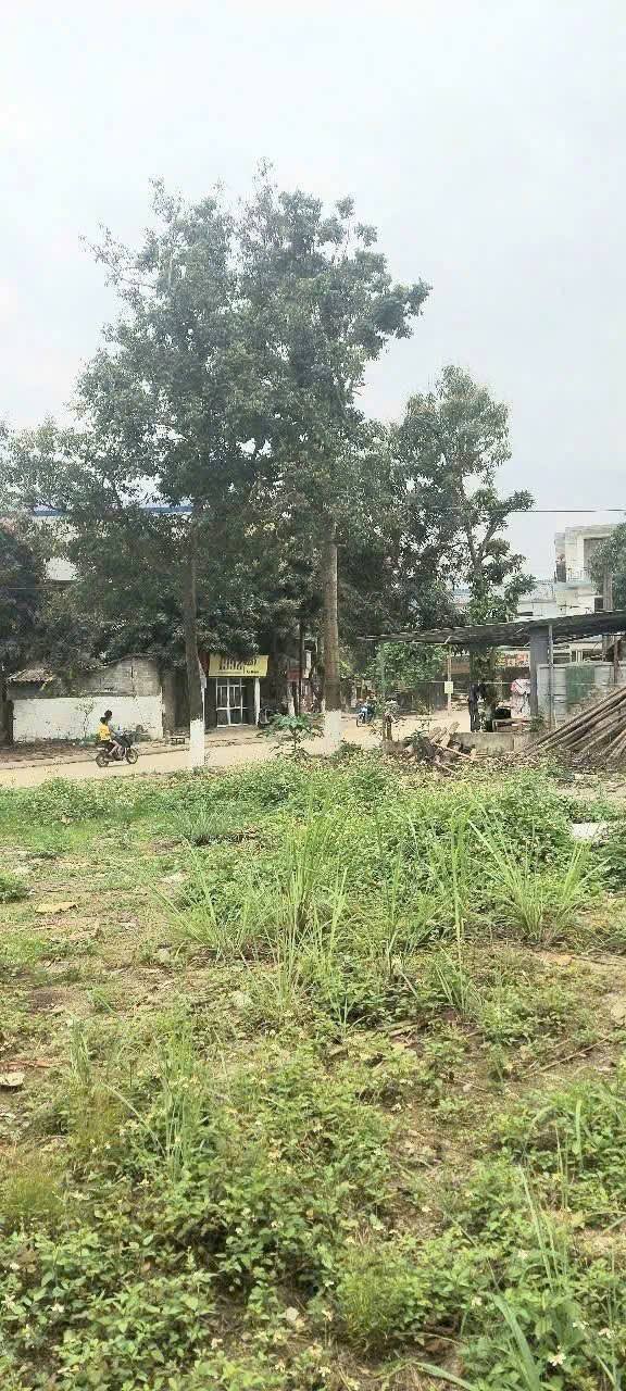 Đất nền kinh doanh 3 mặt tiền Quang Kim, Bát Xát 223.9m² - Đầu tư siêu lợi nhuận!