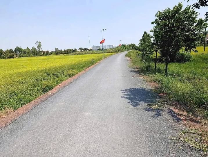 Đất đẹp 2600m² tại Mỹ Lạc, Thủ Thừa chỉ 2.1 tỷ - Cơ hội đầu tư tuyệt vời!