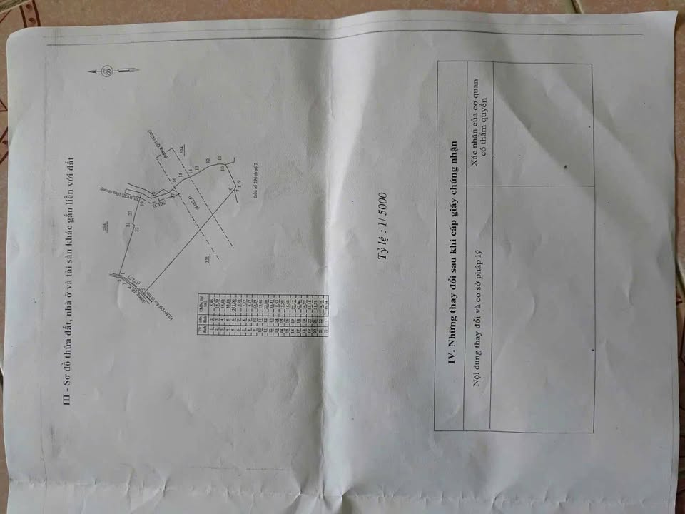 Đất nền Tân Hưng Đồng Phú 10.000m² giá 1.6 tỷ - Đường ô tô thuận tiện!