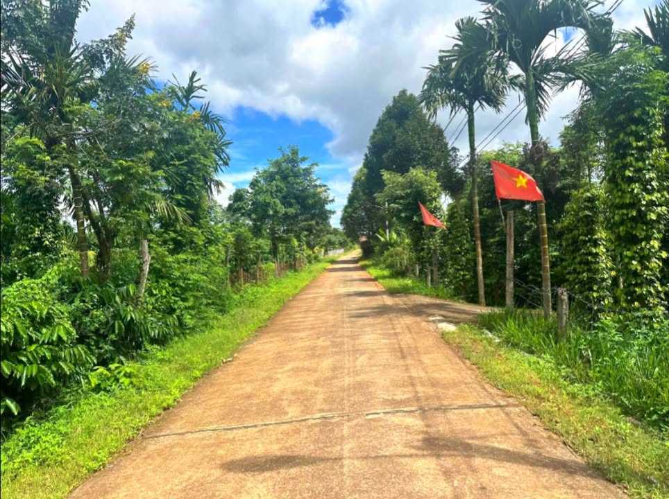 Đất mặt Hồ Xuân Hương Buôn Ma Thuột 900m² giá 9 tỷ - Cơ hội đầu tư tuyệt vời!